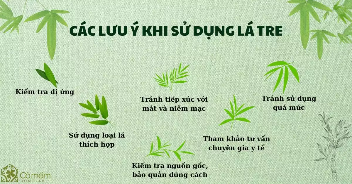 fudovietnam.com
