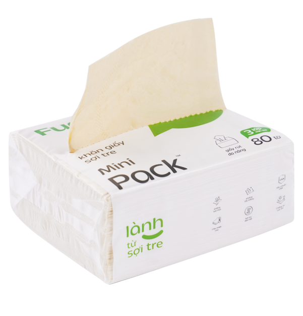 fudovietnam