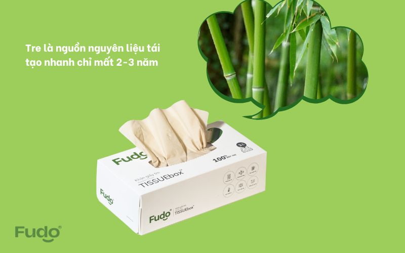 Khăn giấy tre Fudo hướng tới cuộc sống bền vững lành tính