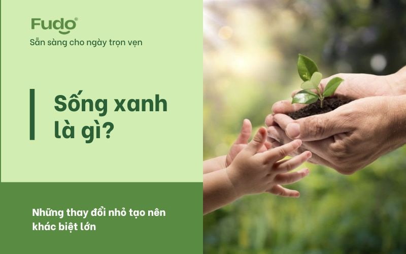 Sống xanh là gì? Những thay đổi nhỏ tạo nên khác biệt lớn